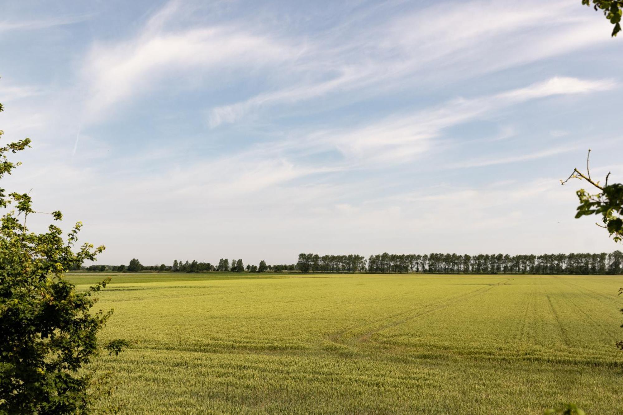 Hof Van Maldegem Kortgene Ngoại thất bức ảnh