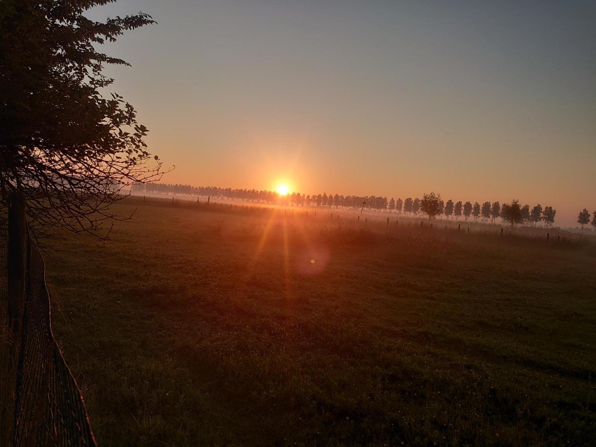 Hof Van Maldegem Kortgene Ngoại thất bức ảnh